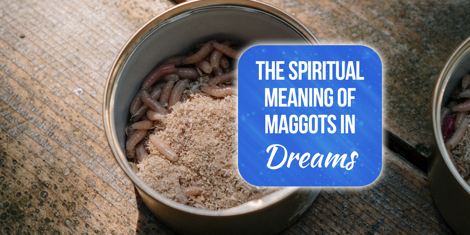 spiritual meaning of maggots in dreams