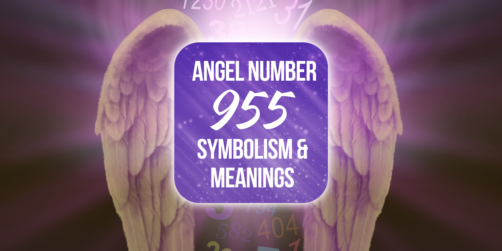 angel number 955