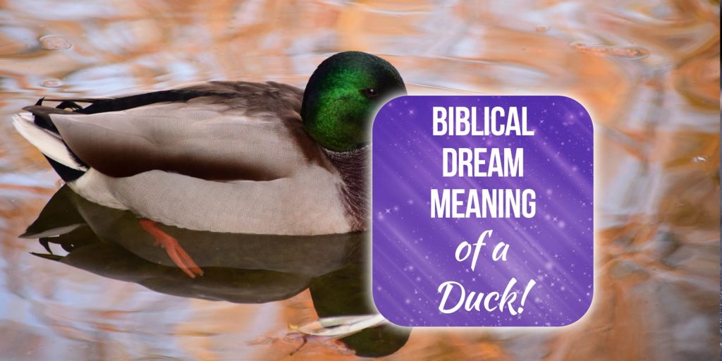 biblical meaning of duck in dreams