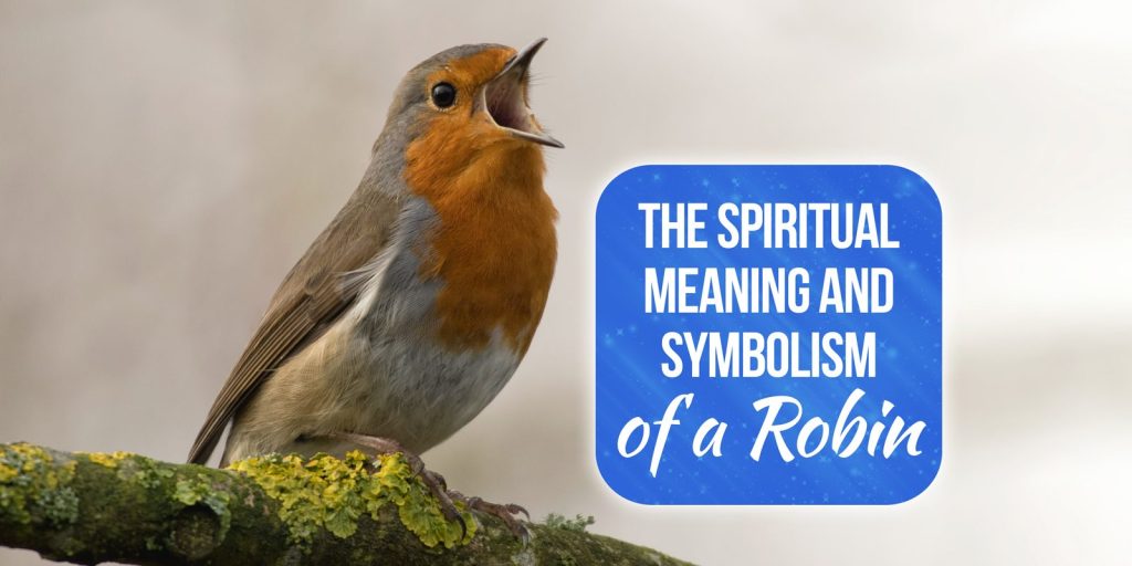 robin spiritual meaning