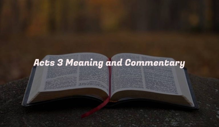 Acts 3 Meaning and Commentary