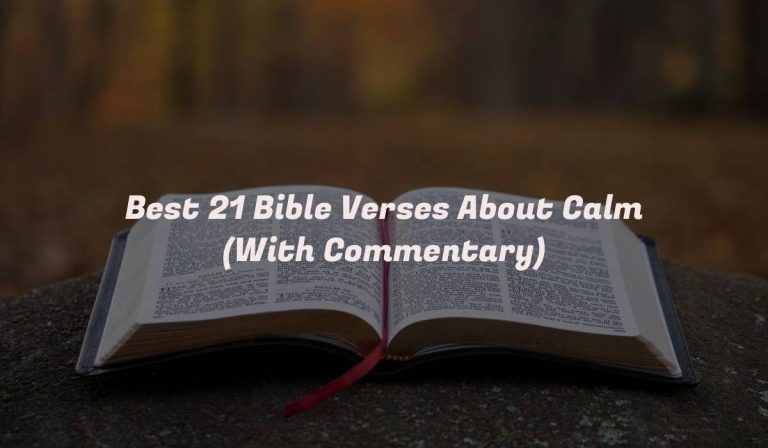 Best 21 Bible Verses About Calm (With Commentary)