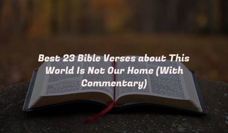 Best 23 Bible Verses about This World Is Not Our Home (With Commentary)