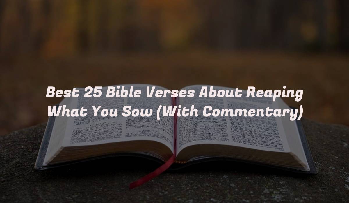 Best 25 Bible Verses About Reaping What You Sow (With Commentary)