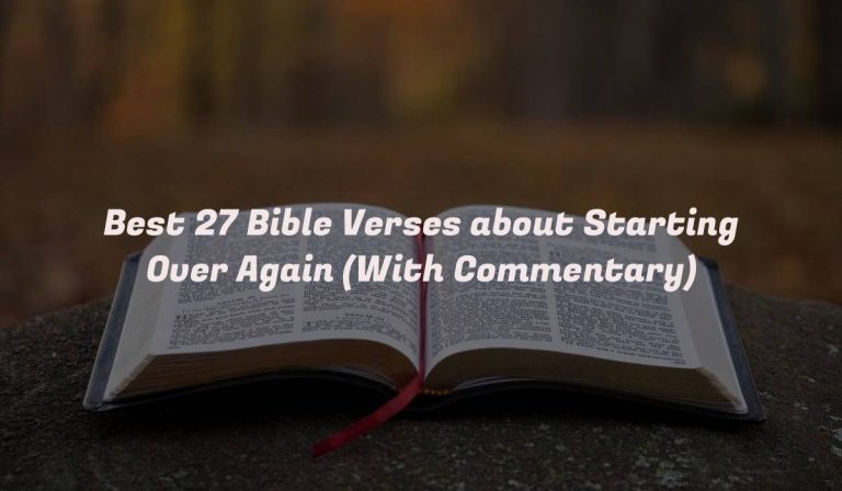 Best 27 Bible Verses about Starting Over Again (With Commentary)