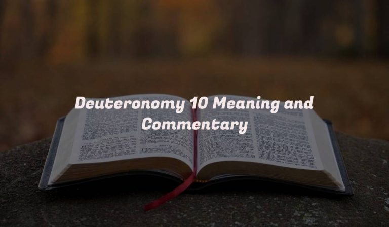 Deuteronomy 10 Meaning and Commentary