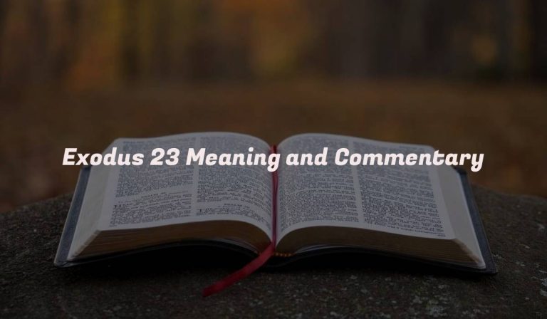 Exodus 23 Meaning and Commentary