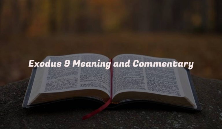 Exodus 9 Meaning and Commentary