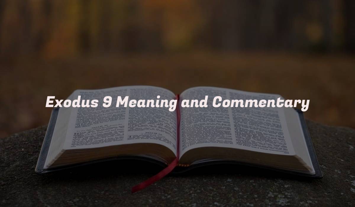 Exodus 9 Meaning and Commentary