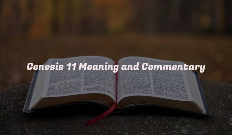 Genesis 11 Meaning and Commentary