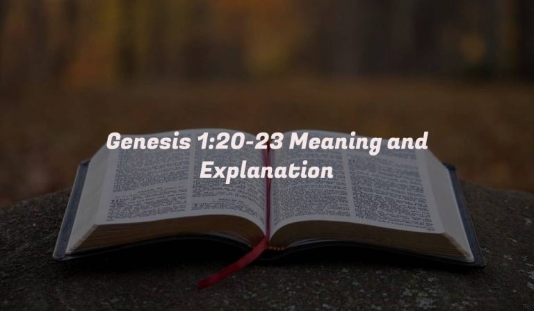 Genesis 1:20-23 Meaning and Explanation