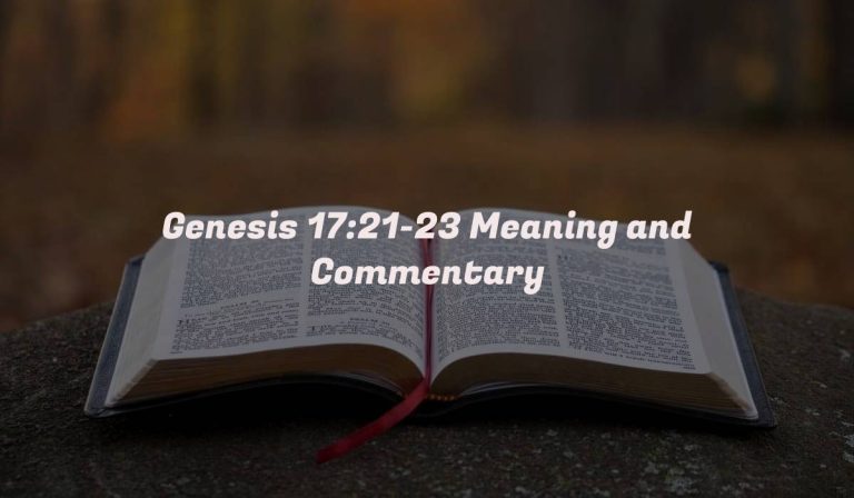 Genesis 17:21-23 Meaning and Commentary