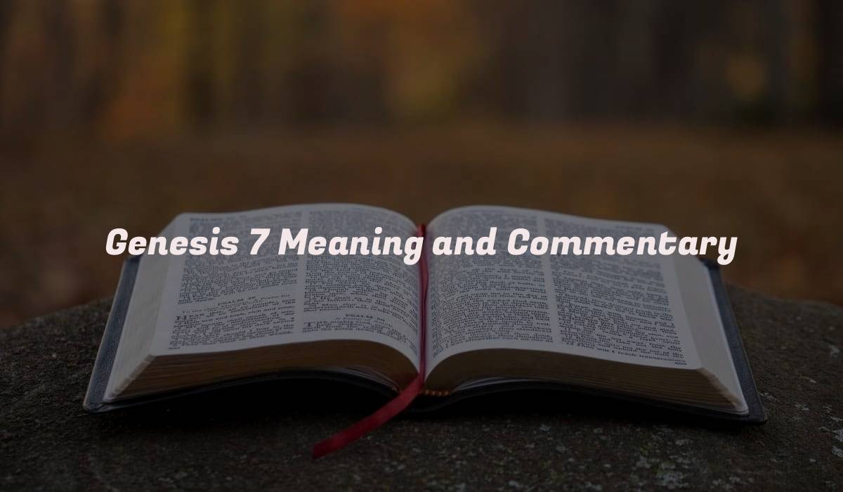 Genesis 7 Meaning and Commentary