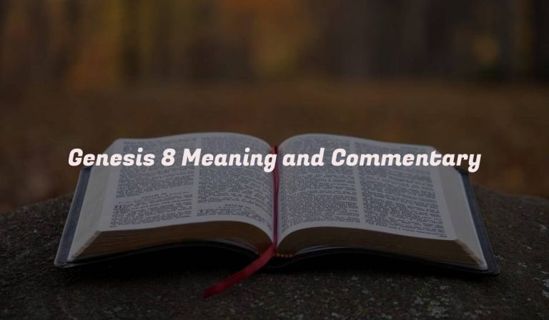 Genesis 8 Meaning and Commentary