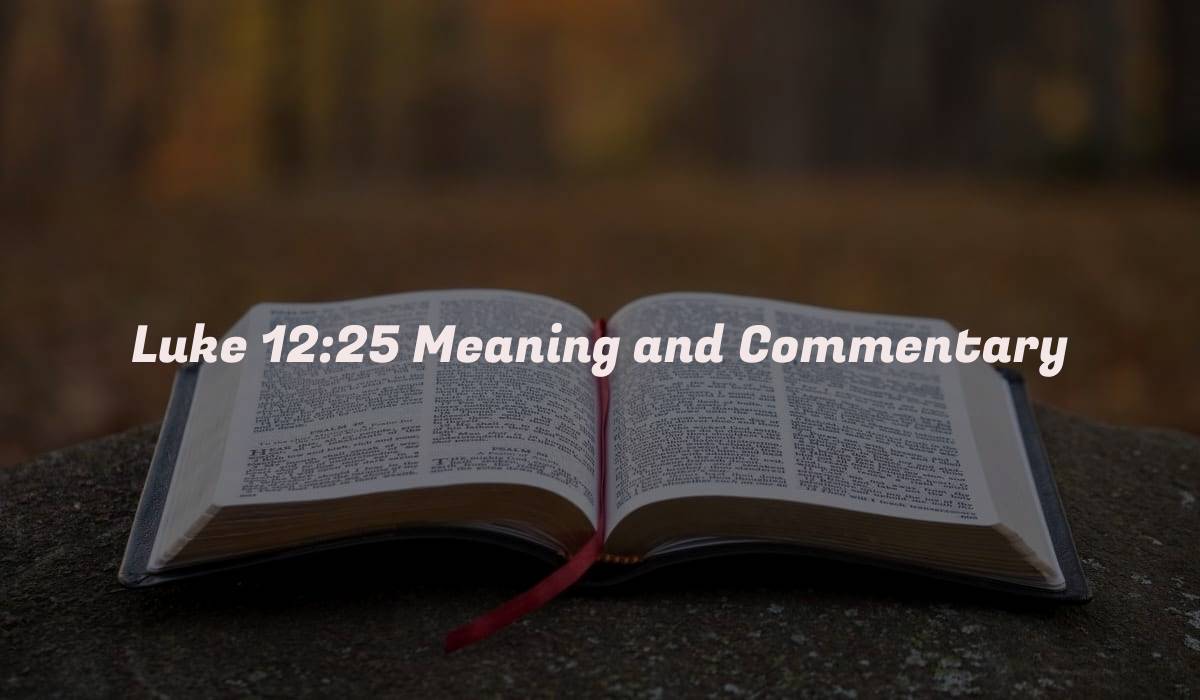 Luke 12:25 Meaning and Commentary