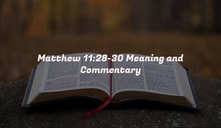 Matthew 11:28-30 Meaning and Commentary