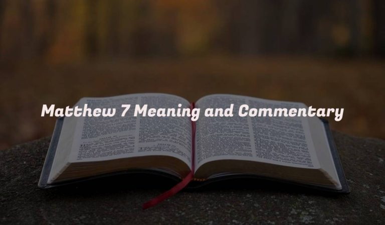 Matthew 7 Meaning and Commentary