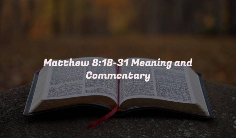 Matthew 8:18-31 Meaning and Commentary