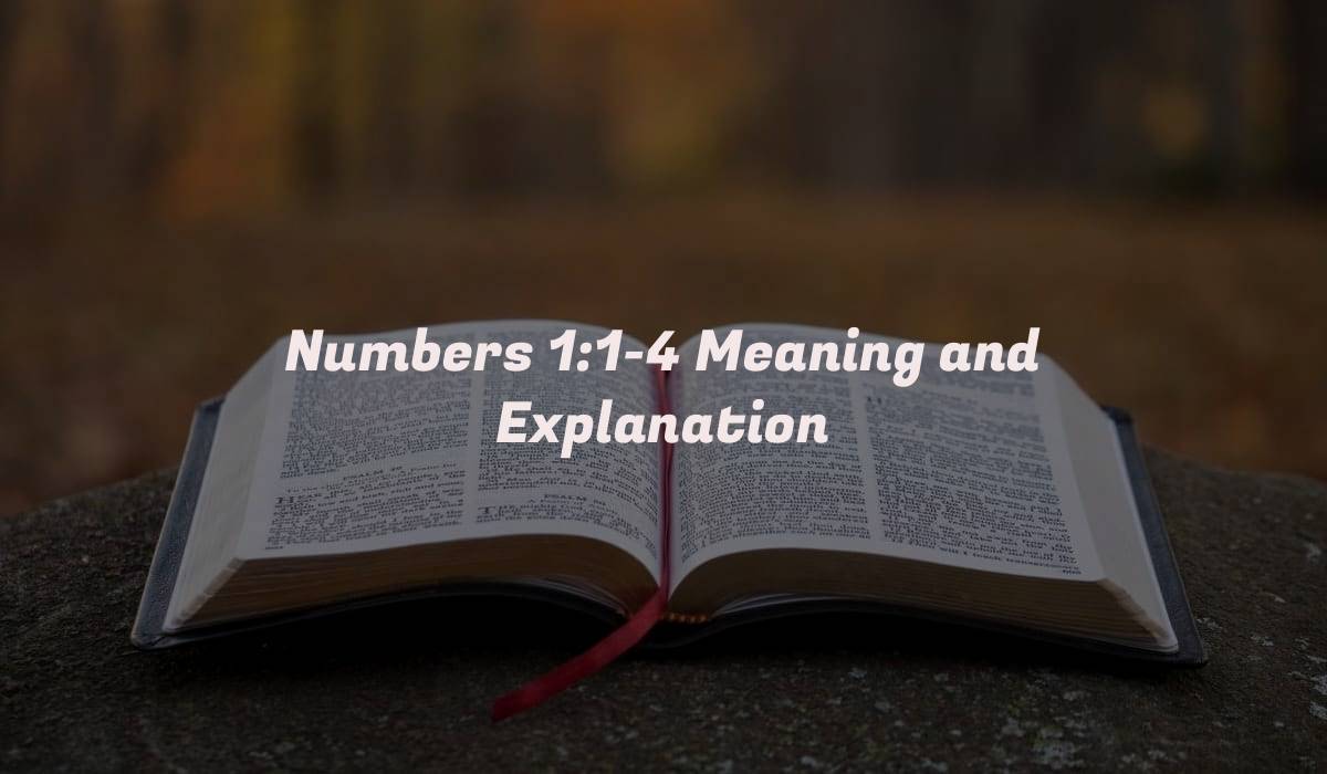 Numbers 1:1-4 Meaning and Explanation