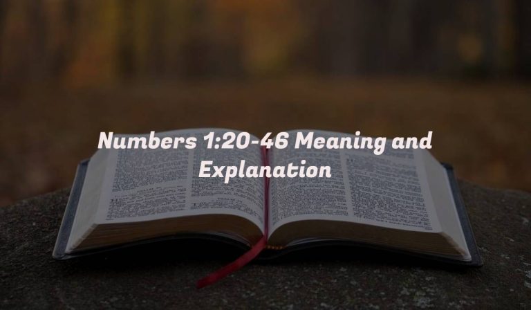 Numbers 1:20-46 Meaning and Explanation