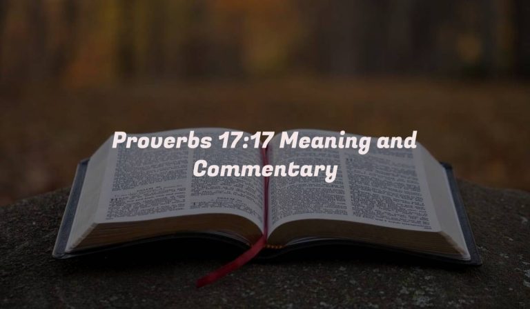 Proverbs 17:17 Meaning and Commentary