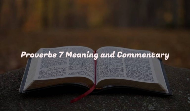 Proverbs 7 Meaning and Commentary