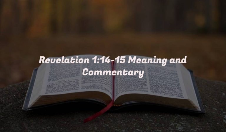 Revelation 1:14-15 Meaning and Commentary