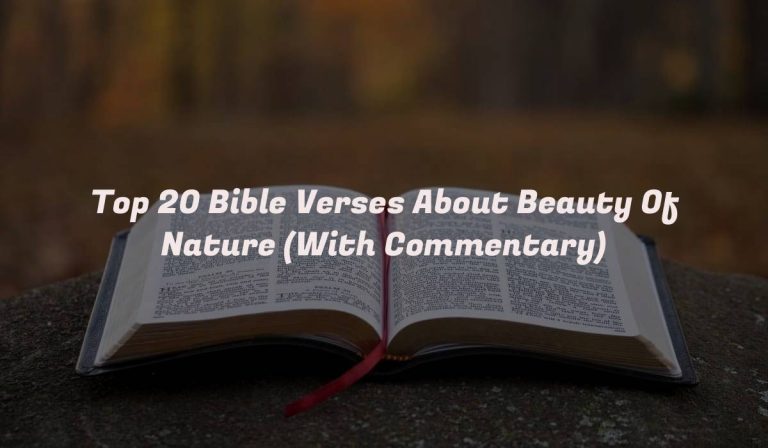 Top 20 Bible Verses About Beauty Of Nature (With Commentary)