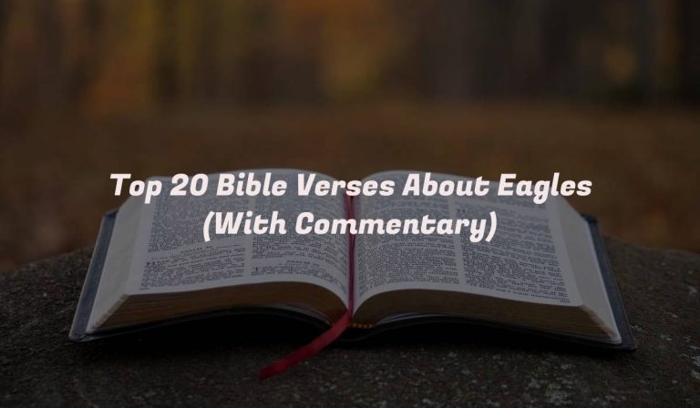 Top 20 Bible Verses About Eagles (With Commentary)