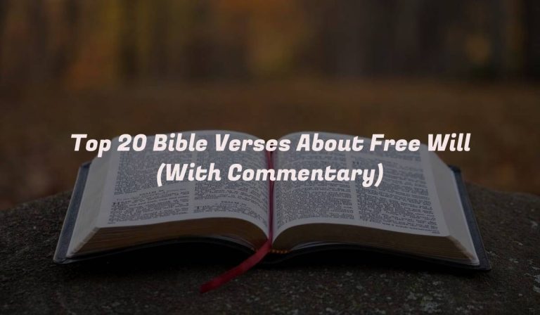 Top 20 Bible Verses About Free Will (With Commentary)