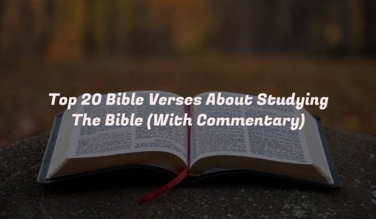 Top 20 Bible Verses About Studying The Bible (With Commentary)