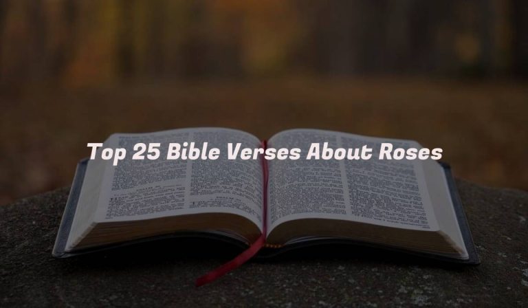 Top 25 Bible Verses About Roses