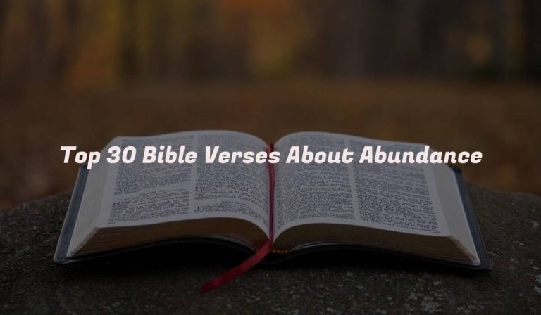 Top 30 Bible Verses About Abundance