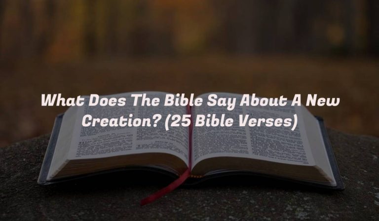 What Does The Bible Say About A New Creation? (25 Bible Verses)