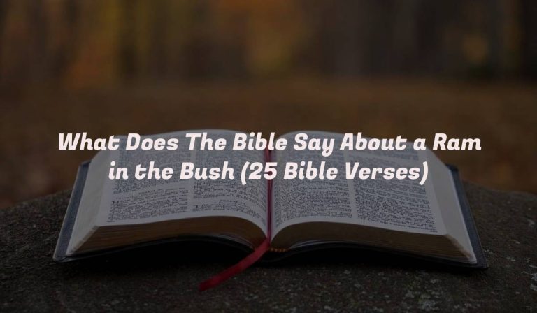 What Does The Bible Say About a Ram in the Bush (25 Bible Verses)
