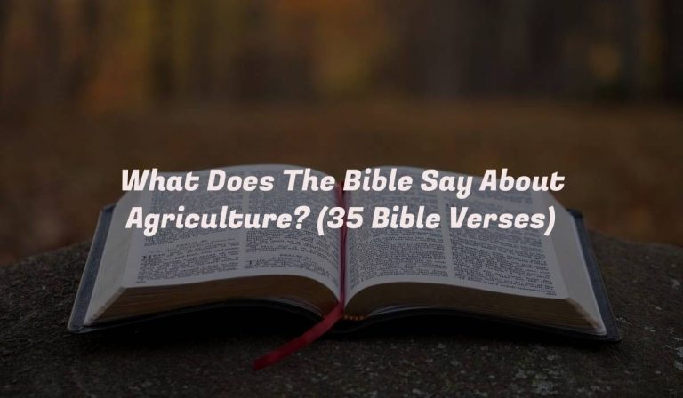 What Does The Bible Say About Agriculture? (35 Bible Verses)