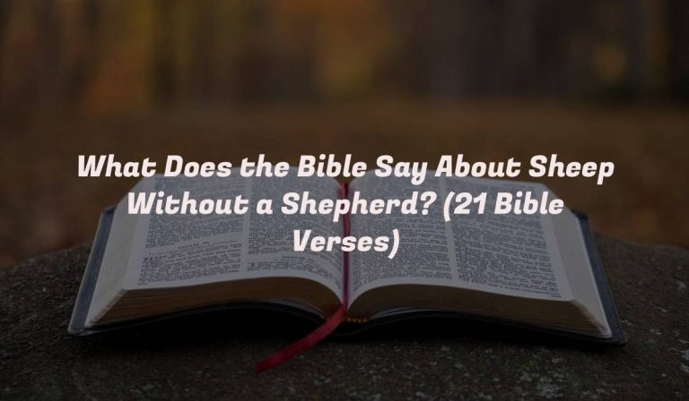 What Does the Bible Say About Sheep Without a Shepherd? (21 Bible Verses)