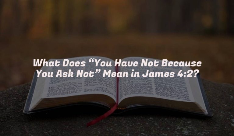 What Does “You Have Not Because You Ask Not” Mean in James 4:2?