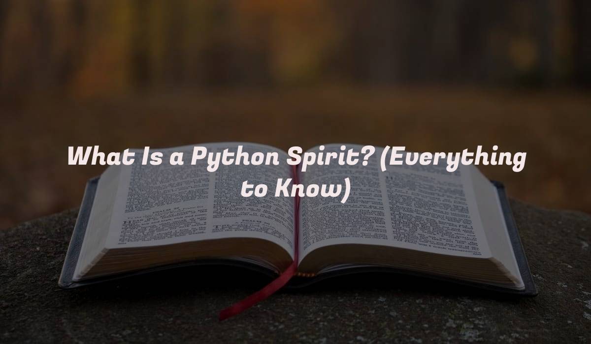 What Is a Python Spirit? (Everything to Know)