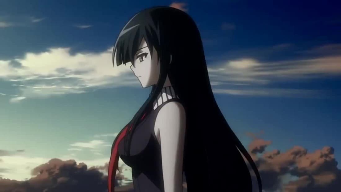 Akame (Akame ga Kill!)