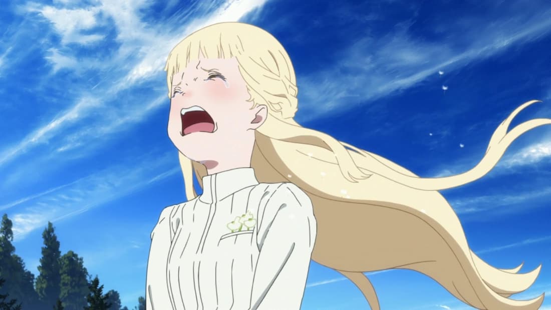 maquia