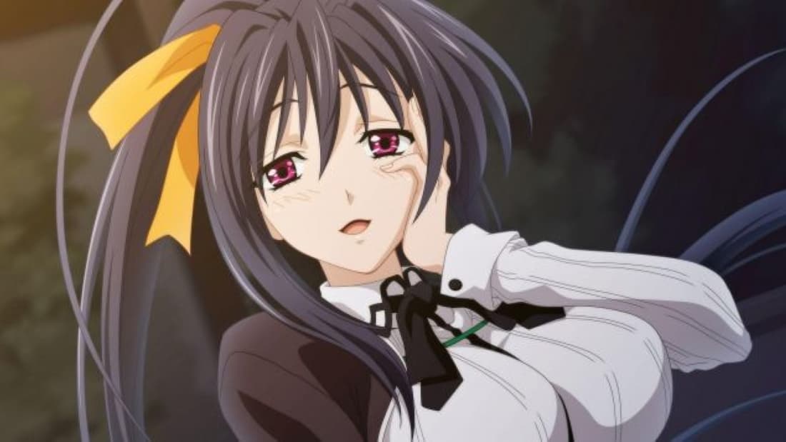 akeno himejima (high school dxd)