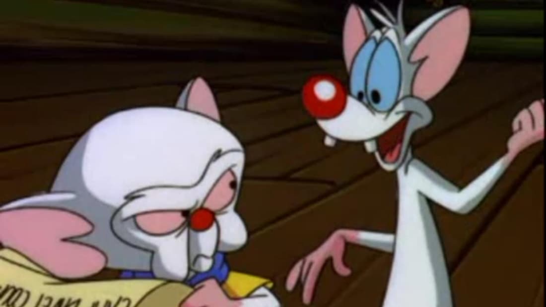 Pinky and The Brain (1995)