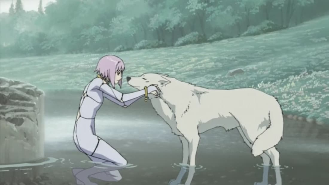 Wolf's Rain