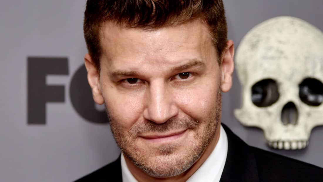 David Boreanaz