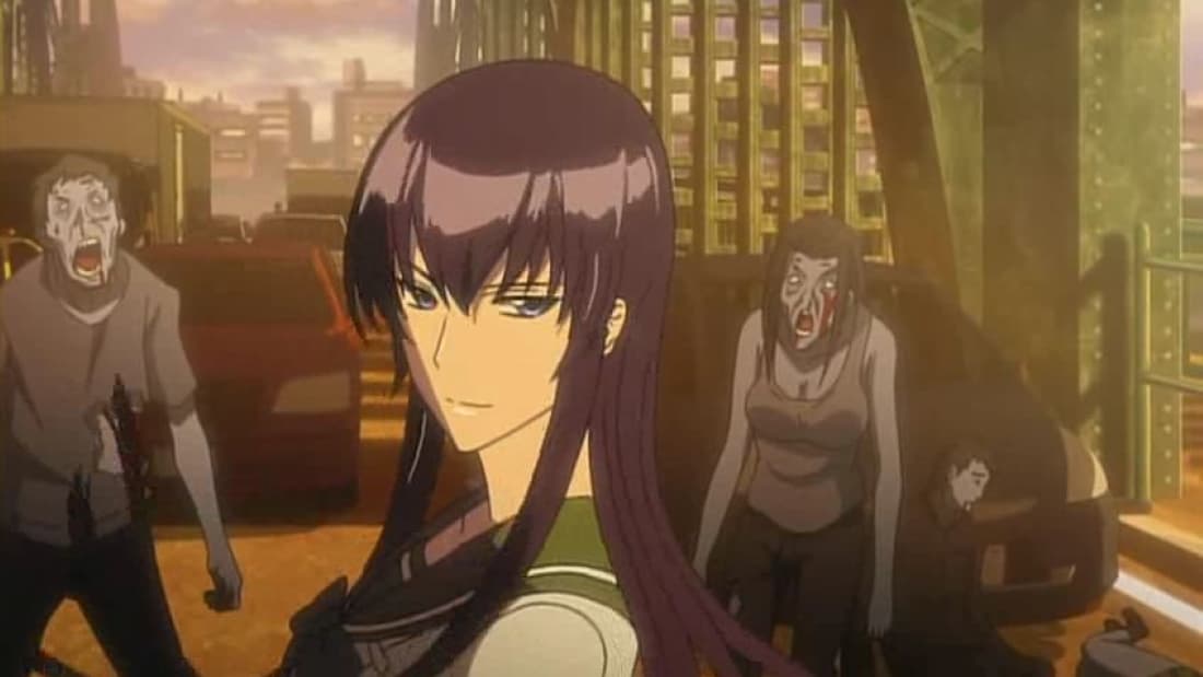 saeko busujima (high school of the dead)