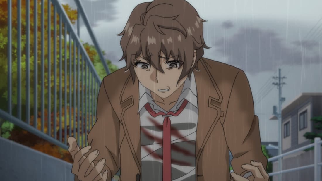 sakuta azusagawa (bunny girl senpai)