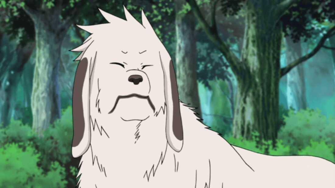 akamaru