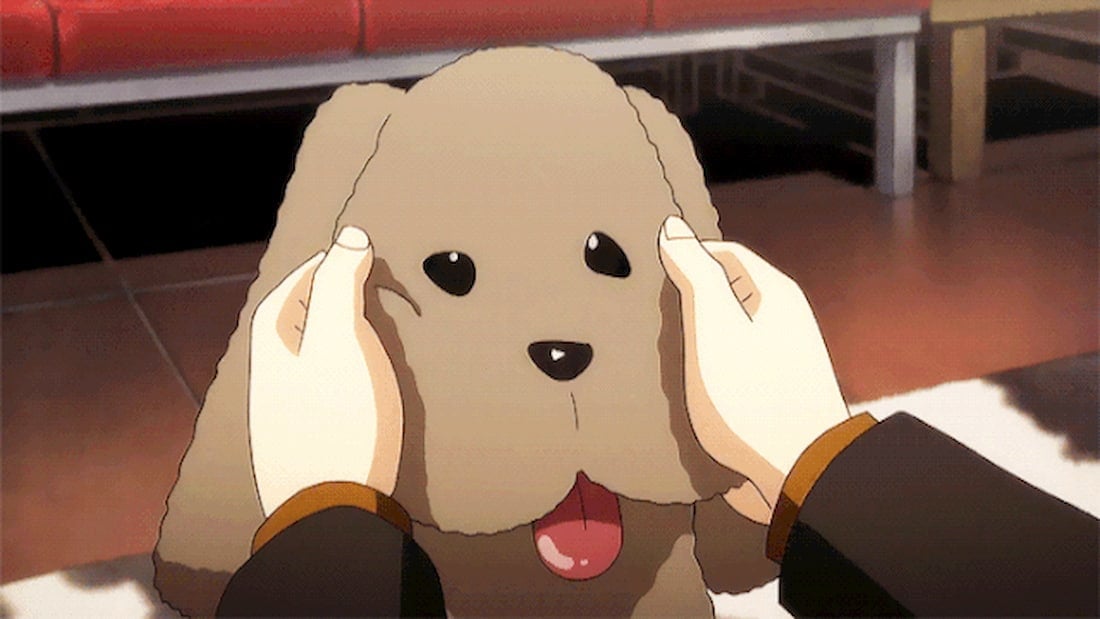 makkachin