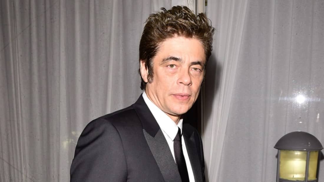 Benicio del Toro